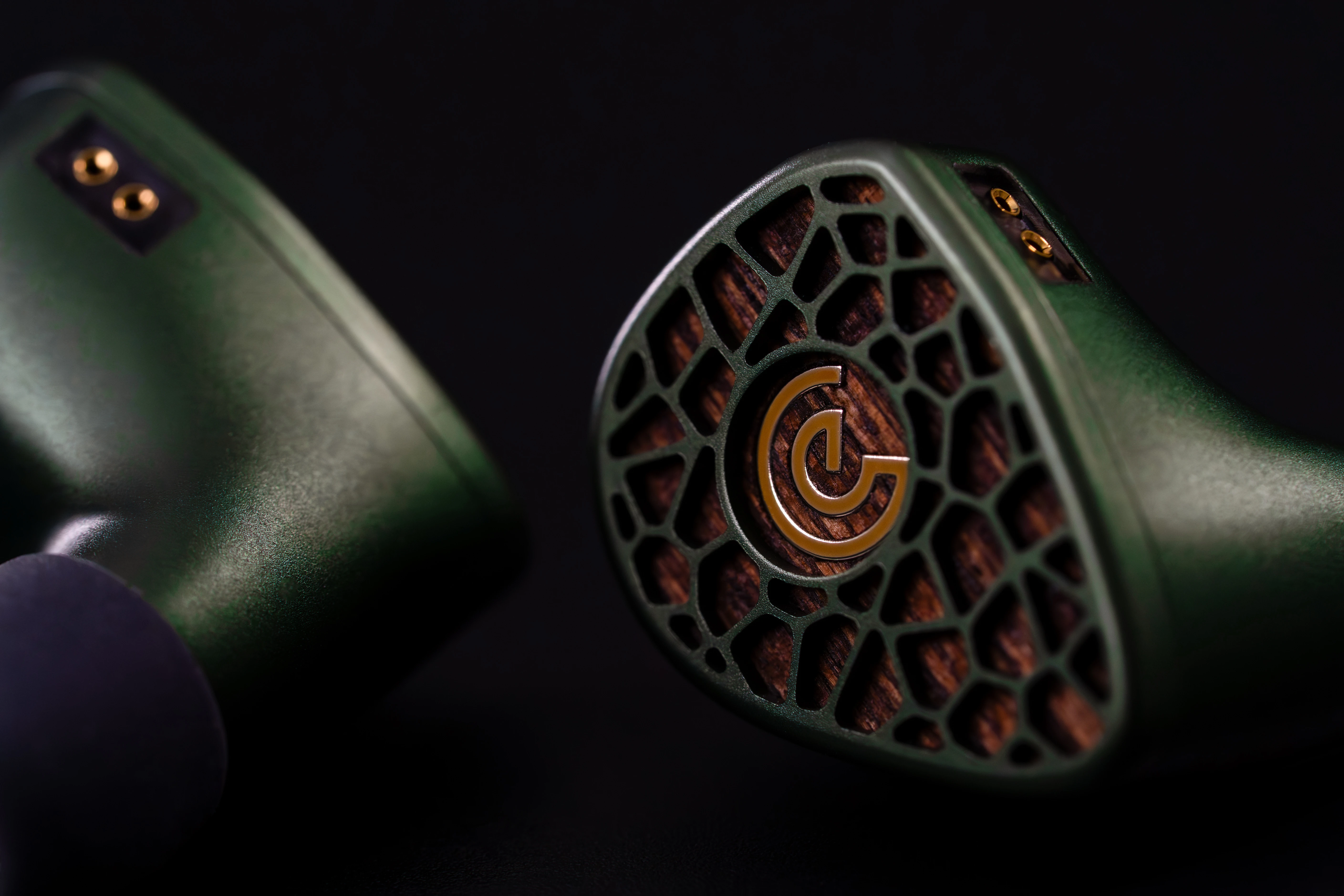 Close-up of the Leszy faceplate and 2-pin connector